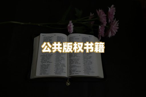 公共版权书籍